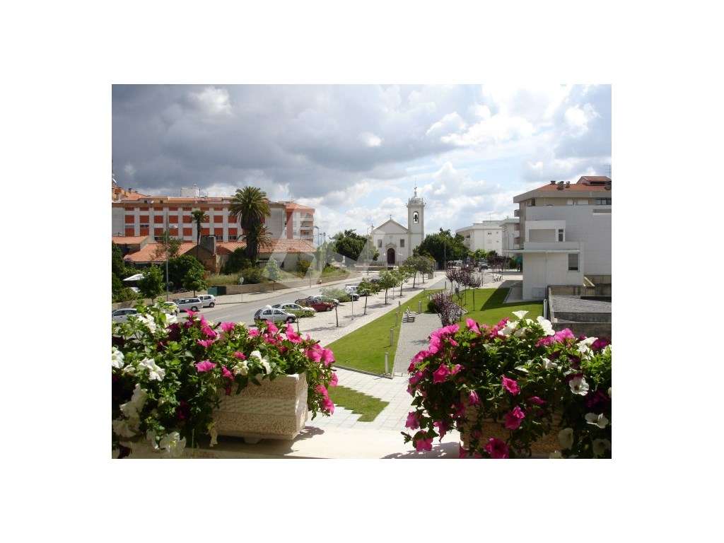 Apartamento T1 c/ Varanda - Oliveira do Bairro-11