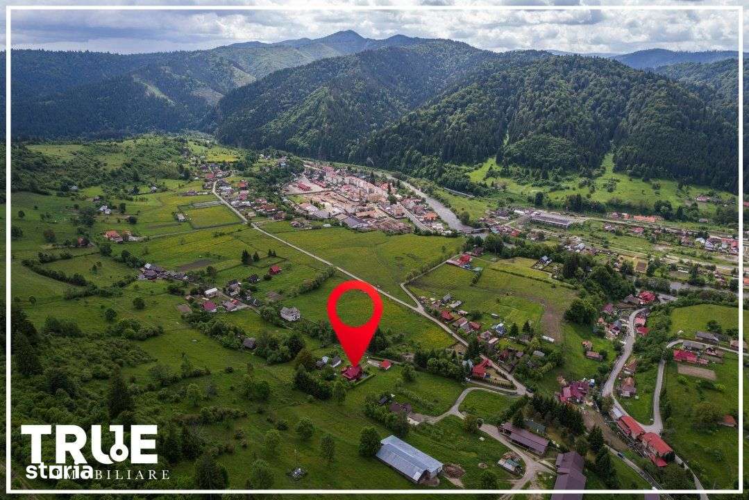 Cabană de vânzare, 150m², teren 4015m², Lunca Bradului!-8