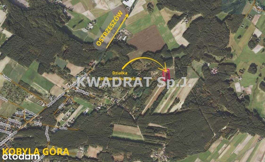 Piękna, duża działka z lasem – Kobyla Góra!!!-7