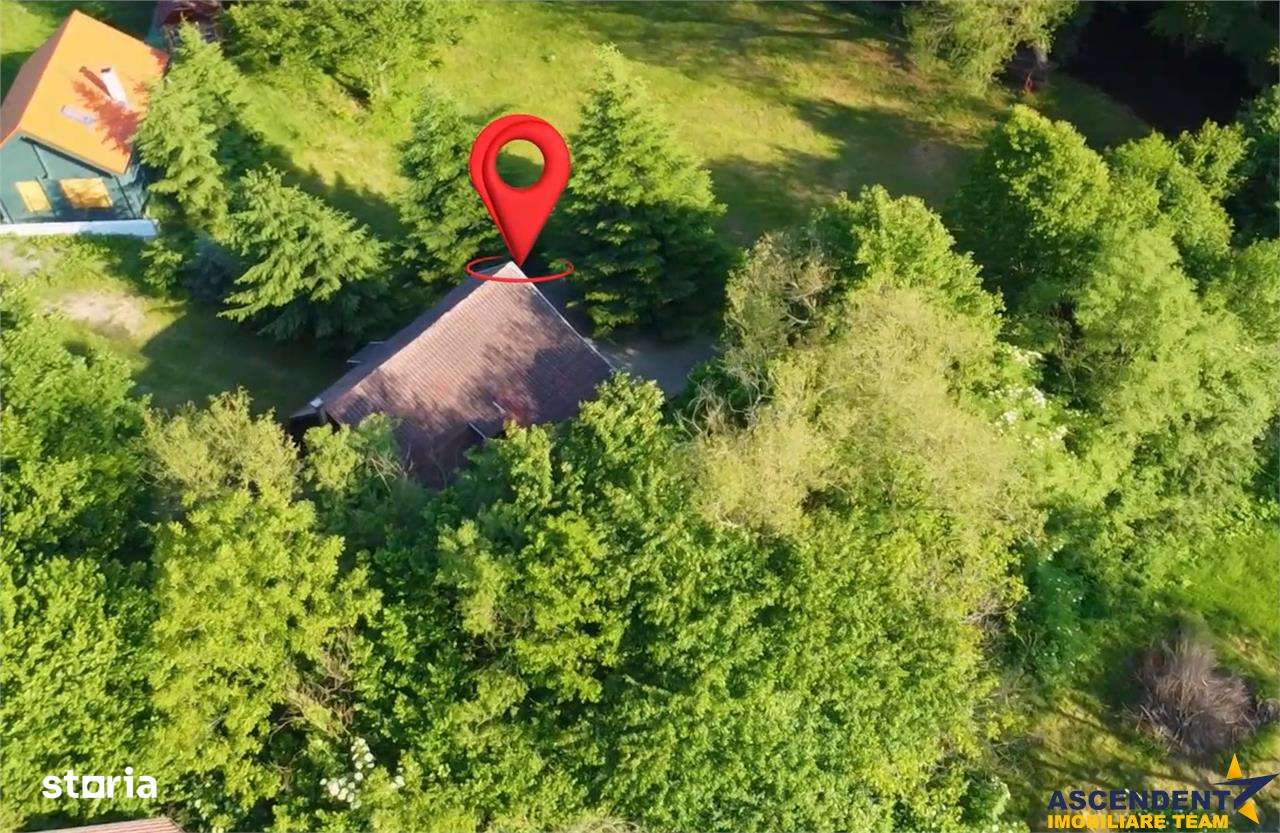 FILM!2.000 mp teren in miracolul naturii autentice+casacabana,Bucin(Pr - Imagine principală: 4/20