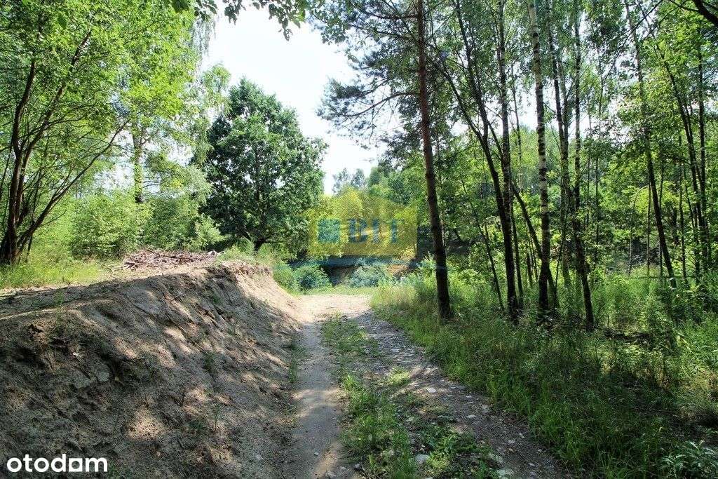 Unikatowe działki nad Jeziorem Komorze - Pełny obrazek: 4/20