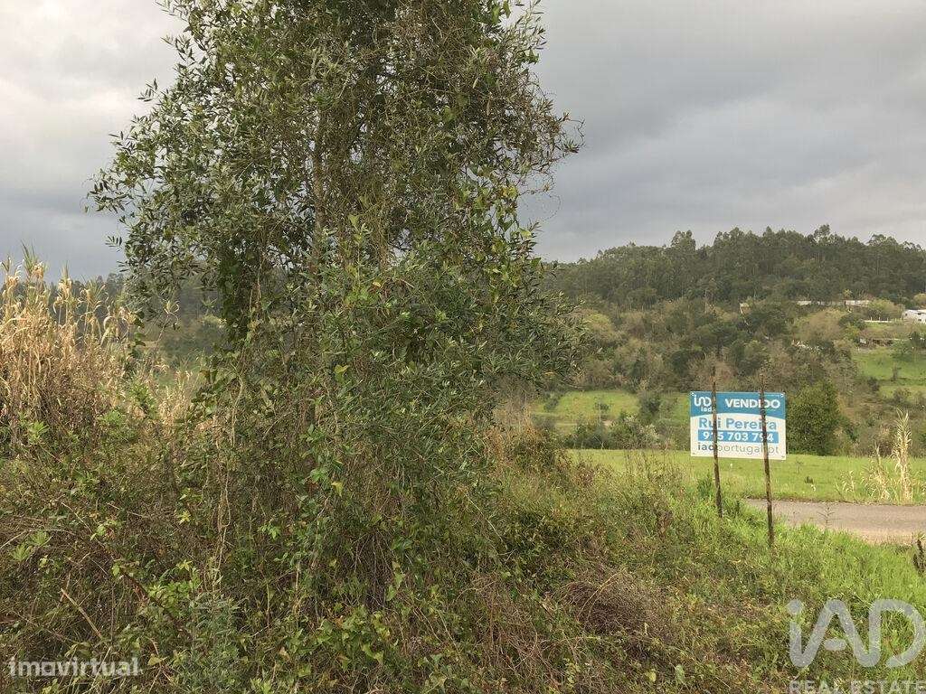 Terreno em Santiago e São Simão de Litém e Albergaria dos Doze de 1150 - Grande imagem: 4/27