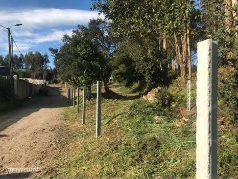 Terreno 3 moradias 2040m2 - Grande imagem: 5/6