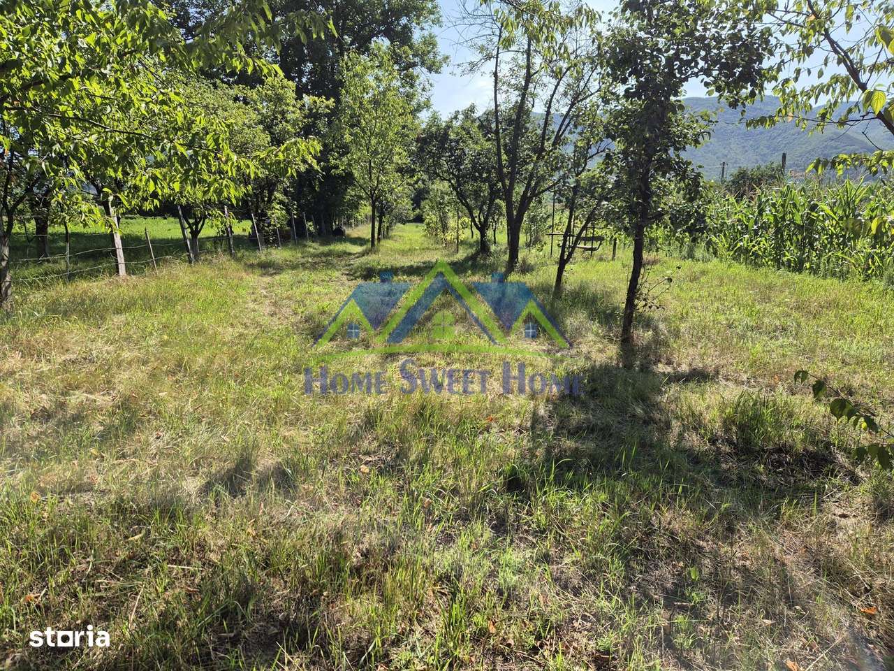 Teren intravilan 1.370 mp – Subcetate, – 9.900 euro neg.,-1