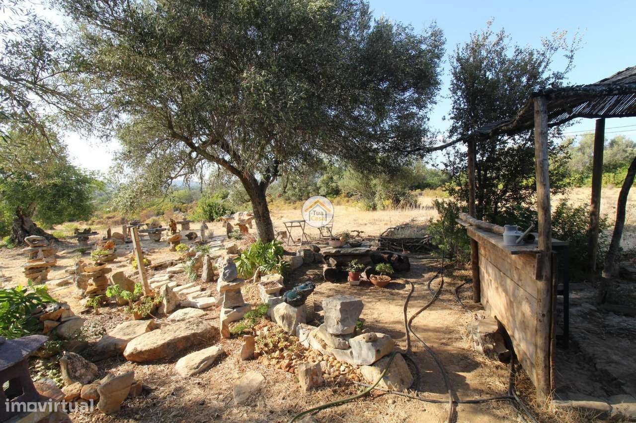 Magnifico Terreno na Foupana (Moncarapacho) excelente investimento - Grande imagem: 5/58