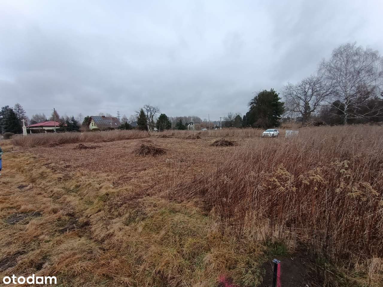 Działka budowlana w Orzeszu 650m2 - CENA DO NEGOCJACJI - Pełny obrazek: 5/5
