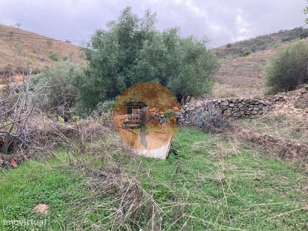 TERRENO RUSTICO COM 920 M2 - COM POÇO - NORA NOVA - ODELEITE - CAST... - Grande imagem: 4/31