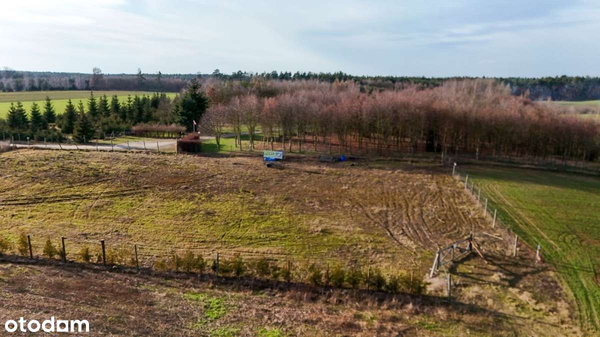 DZIAŁKA Na Sprzedaż - Pełny obrazek: 4/20