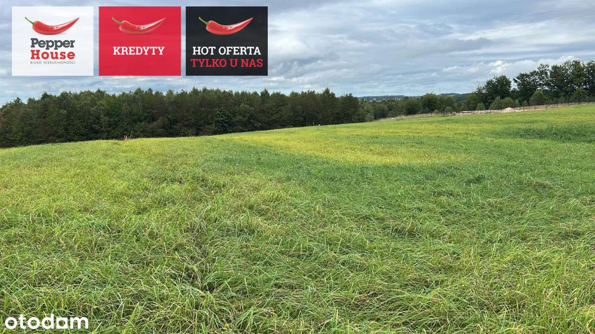 działka z warunkami zabudowy - Pełny obrazek: 4/9