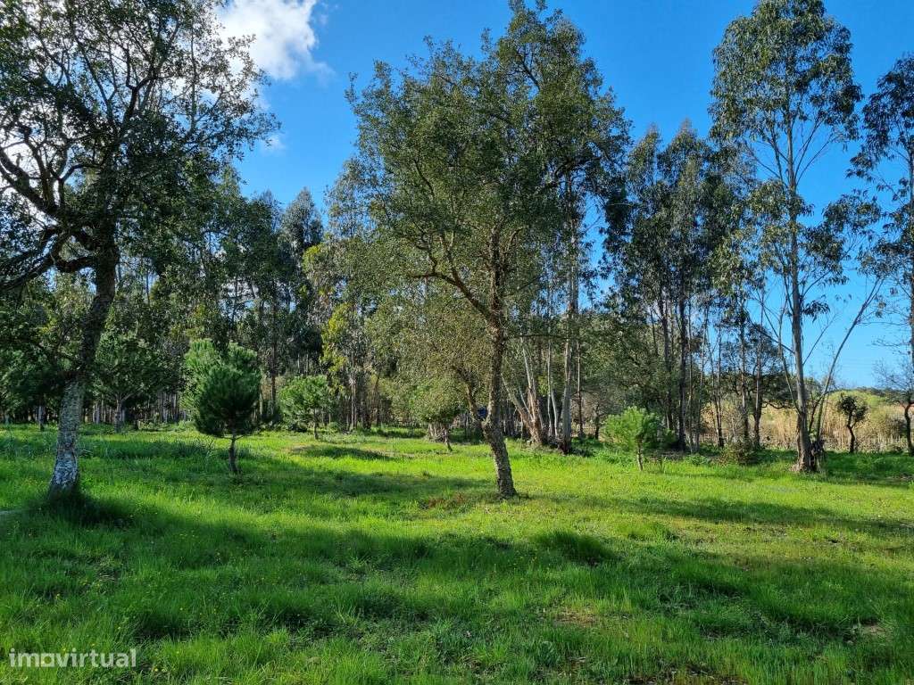 Terreno na Tornada - Caldas da Rainha - Grande imagem: 5/8