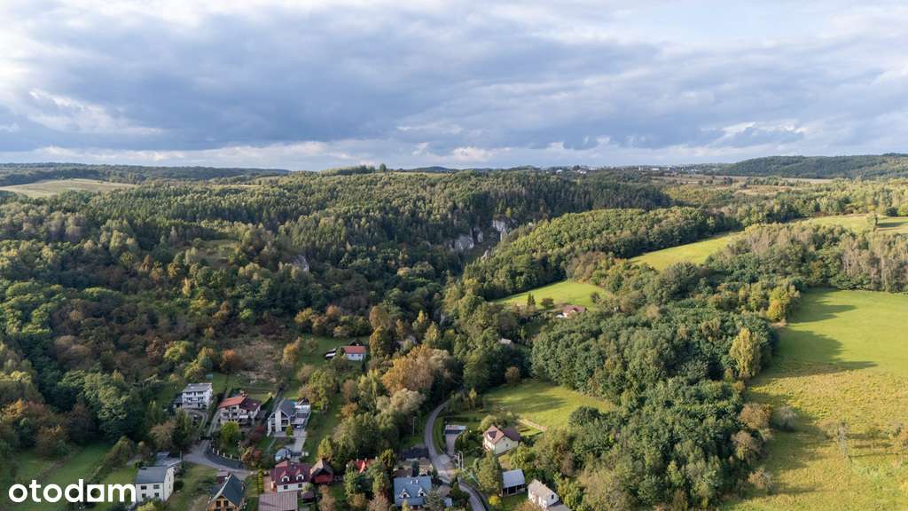 Dom na dużej działce 2600 m² – projekt przebudowy - Pełny obrazek: 5/16