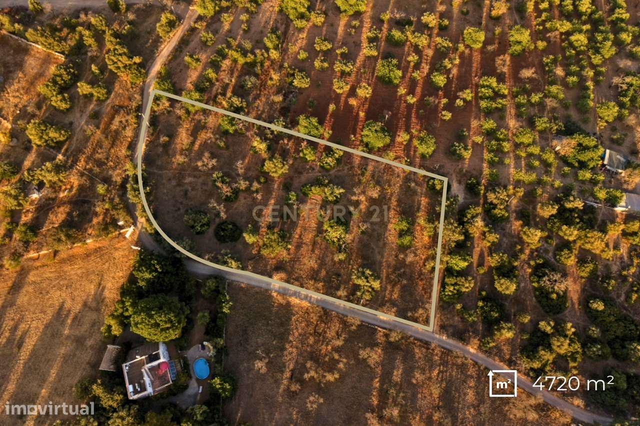 ✅ Terreno Rústico com 4.720 m² – Acessos Excelentes e Potencial Extrao-5