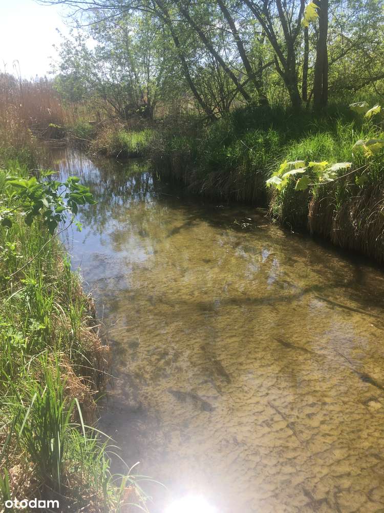 Działka rolna Kiełpin Zielona Góra - Pełny obrazek: 2/8