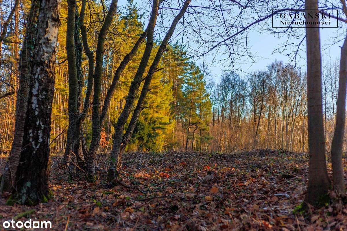 Działka budowlana na sprzedaż - Zaczarnie-13