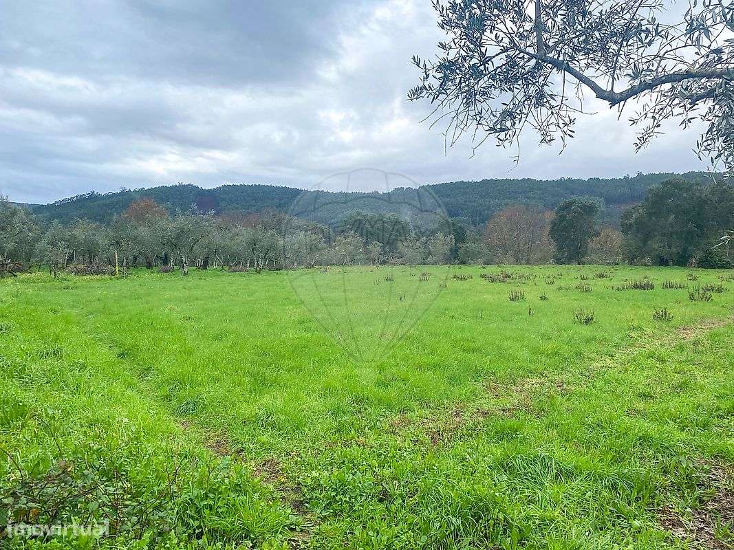 Terreno  para venda - Grande imagem: 5/14