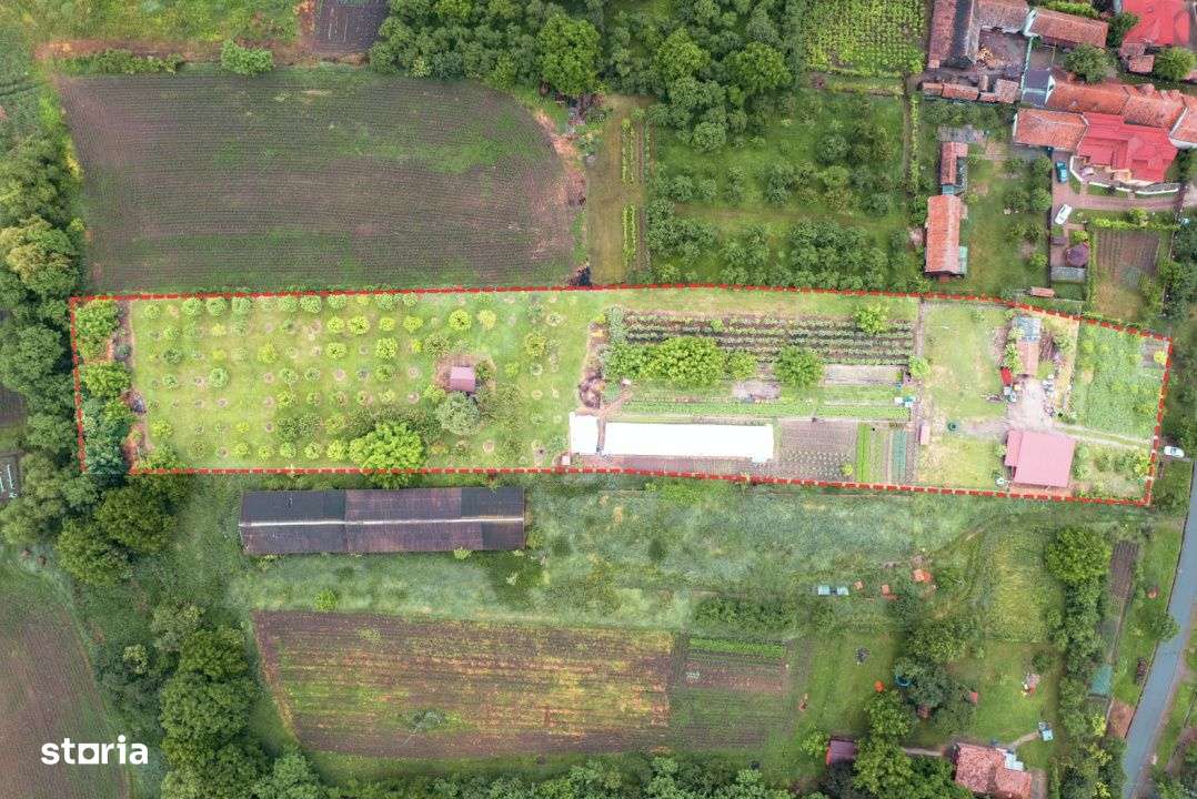 Viseaza, construieste, culege: Livada Paradisului – De Vanzare - Imagine principală: 1/19