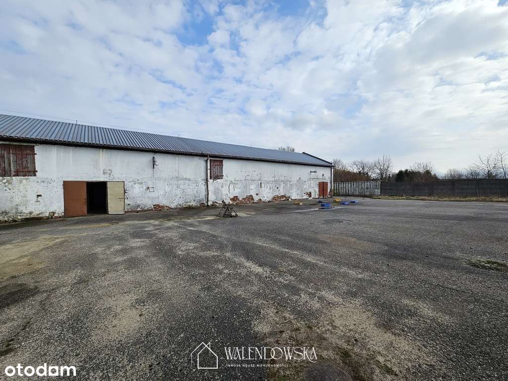 Na sprzedaż nieruchomość inwestycyjna – Staniewice-9