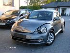 Volkswagen Beetle - 3