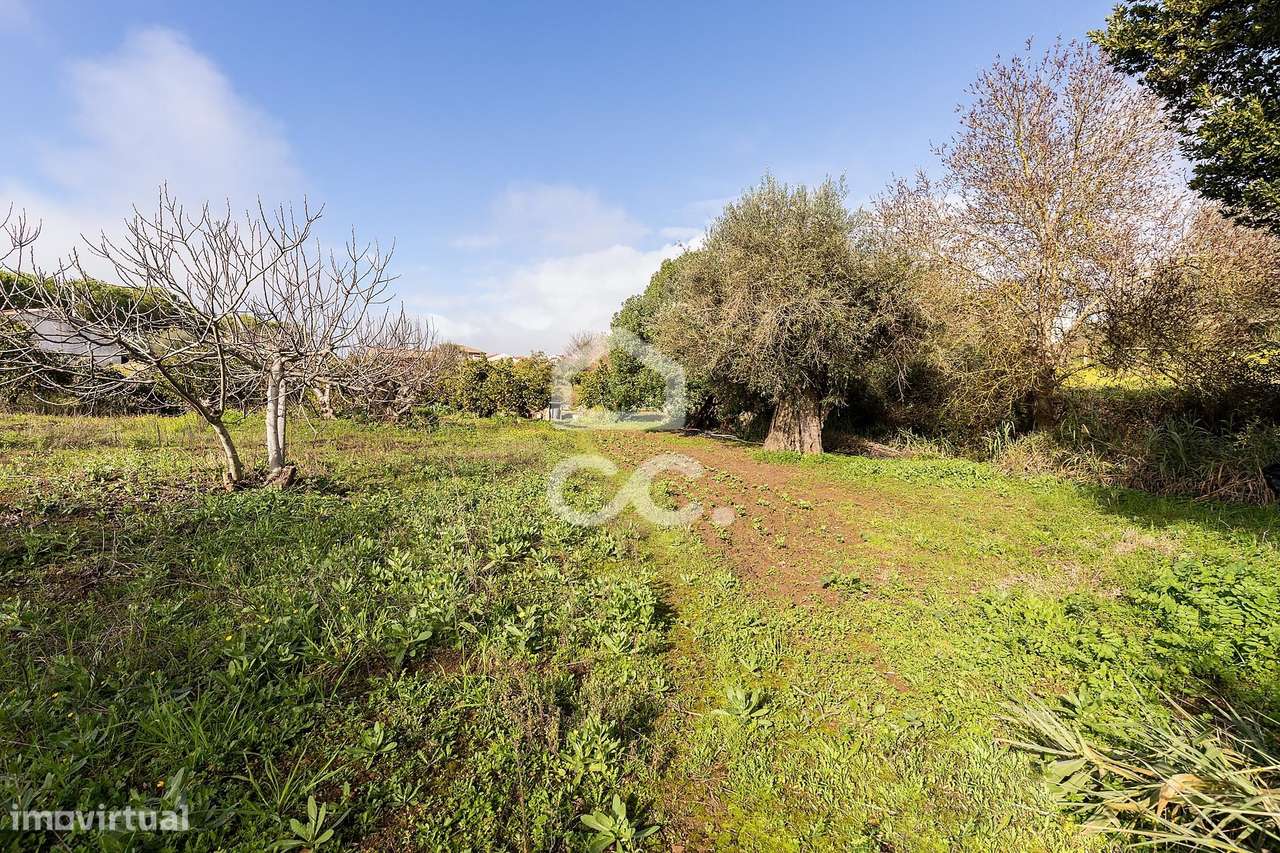 Quinta T5 de 0,9 ha com Moradias e Anexos | Torrão, Alcácer do Sal-37