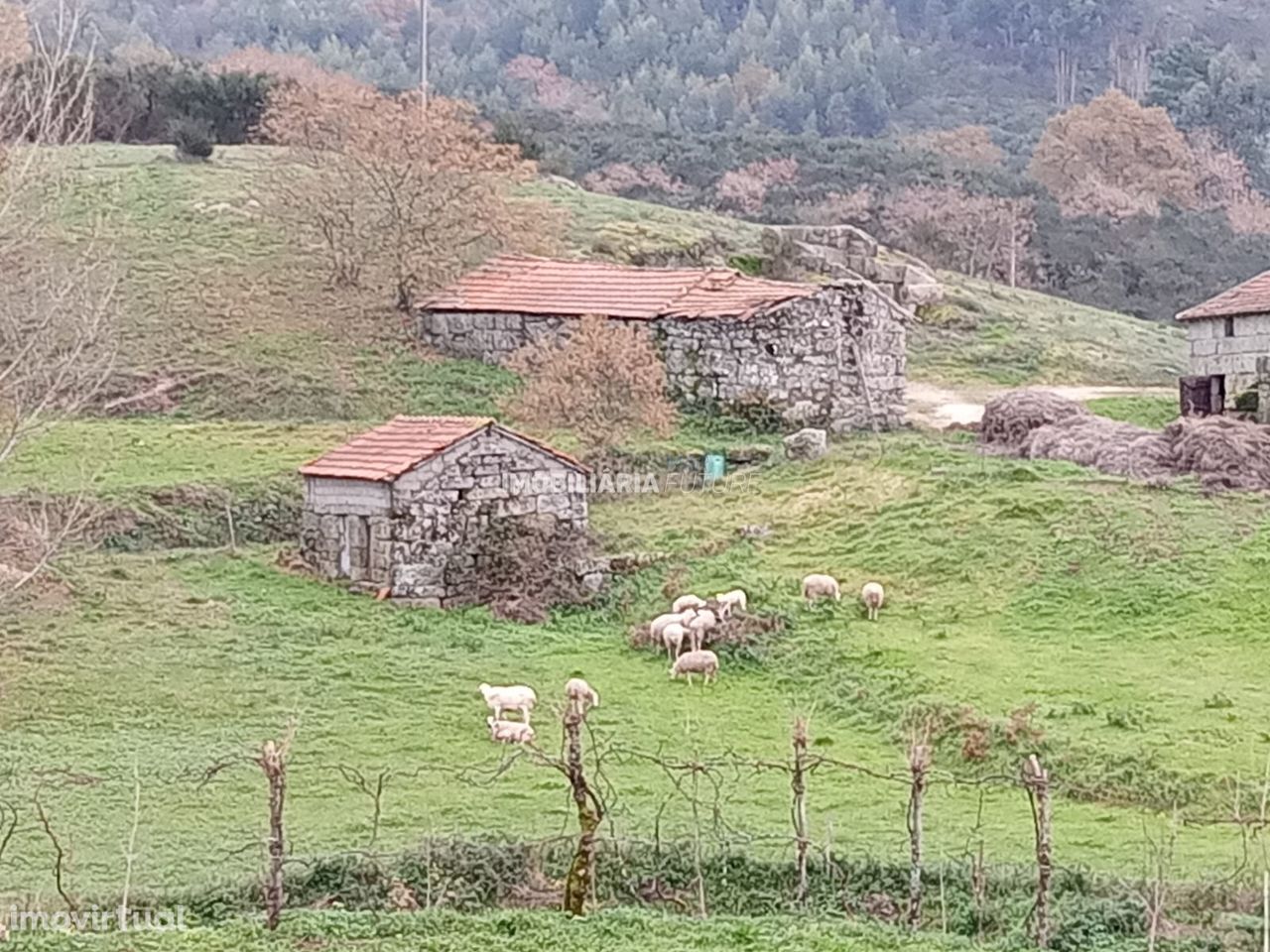 Quinta  Venda em Soalhães,Marco de Canaveses