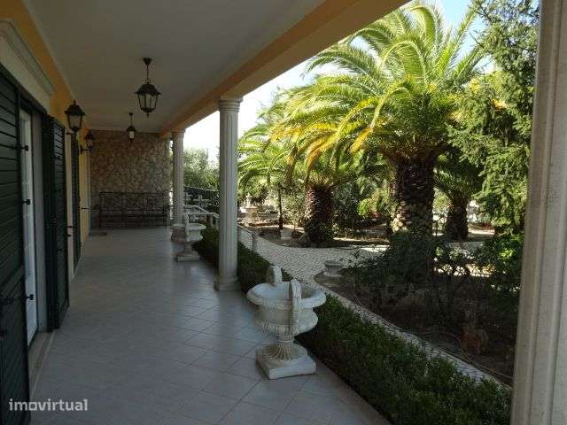 Quinta T/7 Cartaxo-25