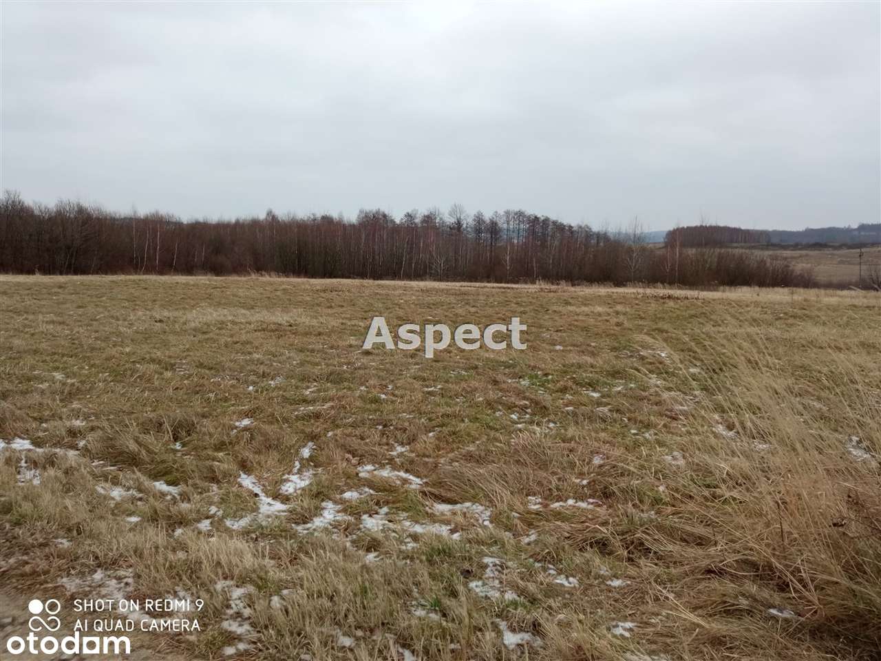 Działka Borek Nowy 78,99 ara - Pełny obrazek: 5/8