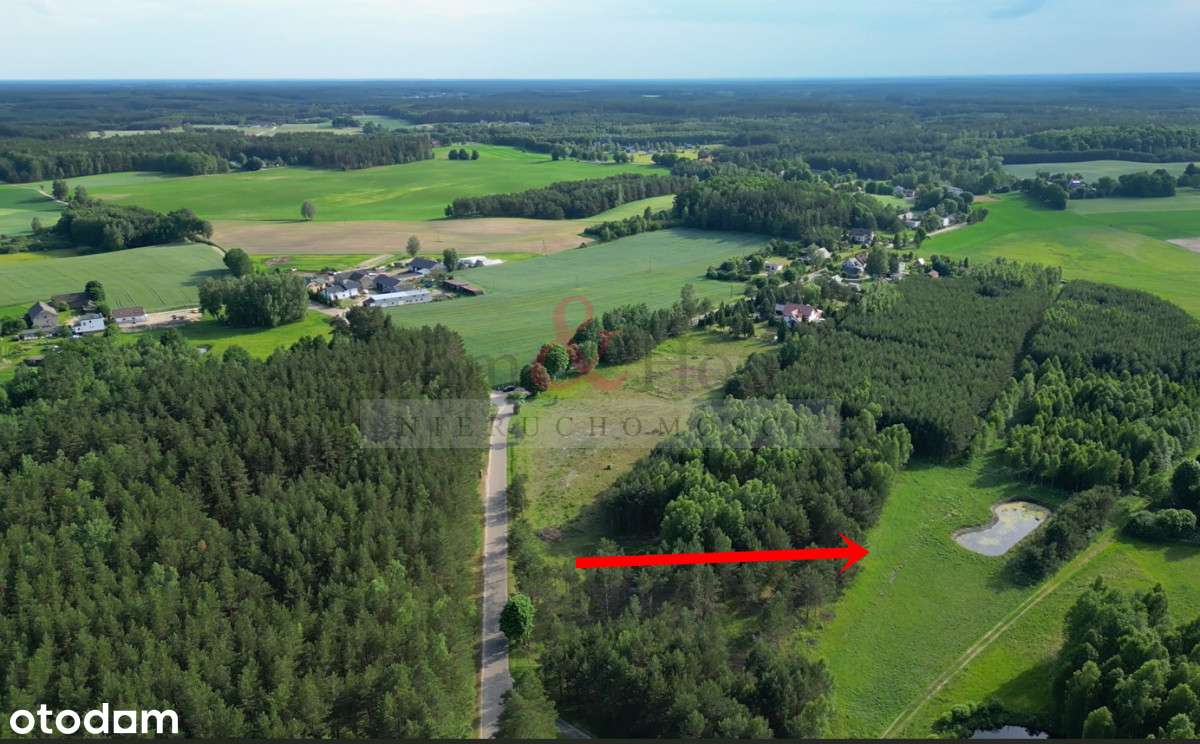 Lipy- Działka na Kaszubach z możliwością zabudowy - Pełny obrazek: 4/8