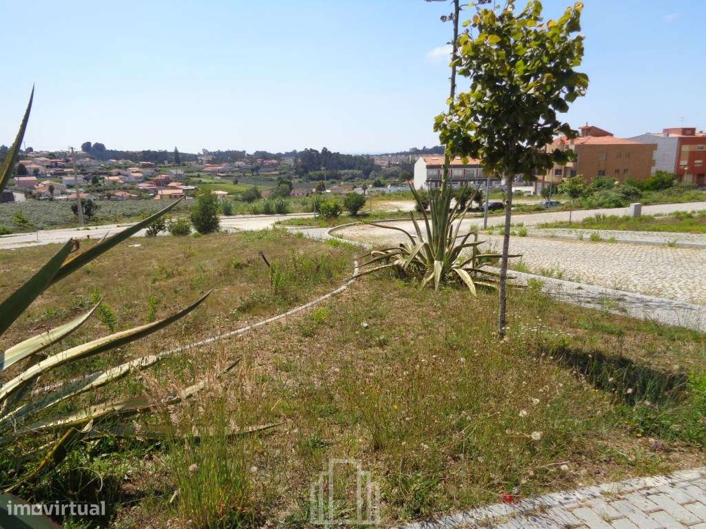 Lote Prédio - São João de Ver - Grande imagem: 3/3