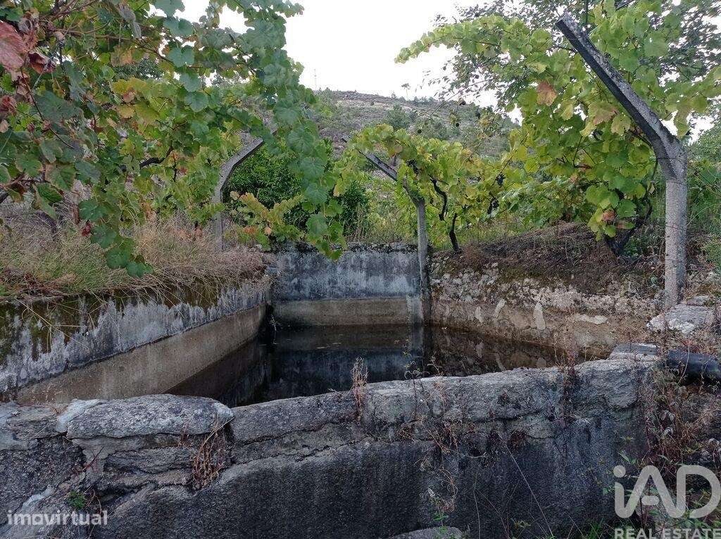 Terreno Agrícola em Sendim-17