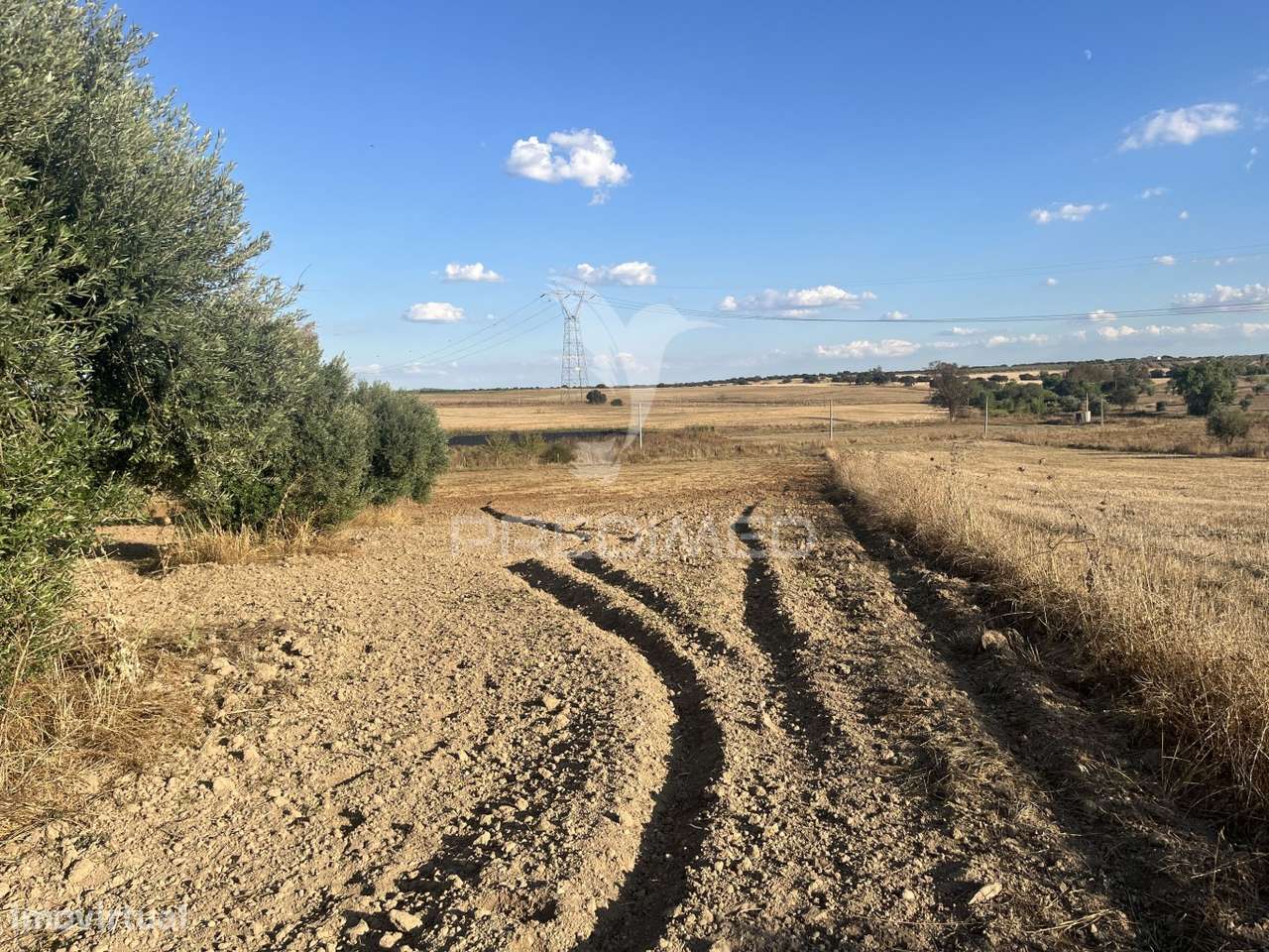 Terreno Rústico em Alfundão – 1,5 ha com Água da EDIA e Oliveiras A... - Grande imagem: 5/17