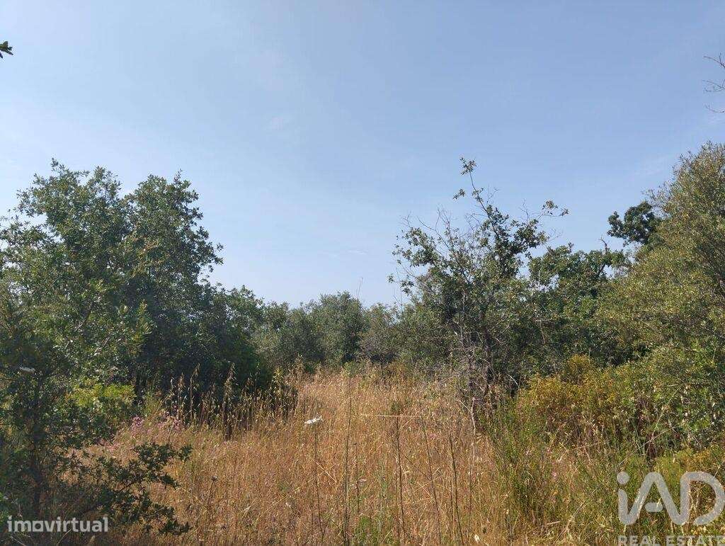 Terreno em Chãos de 1560,00 m2 - Grande imagem: 4/15