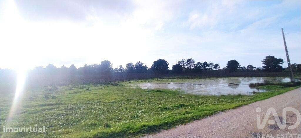 Terreno T1 em Vila do Bispo e Raposeira de 123840,00 m2 - Grande imagem: 4/29