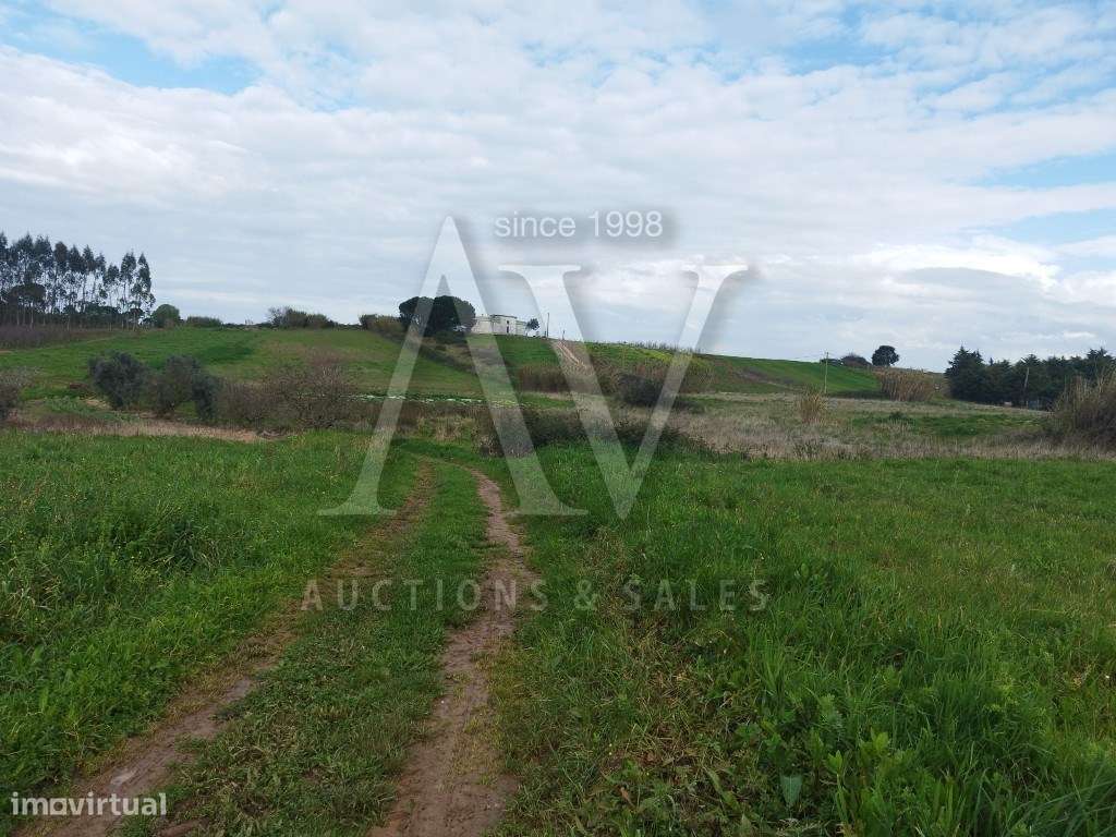 6/11 Avos de Terreno Rústico - VERMELHA- CADAVAL | LEILÃO ELETRÓNIC... - Grande imagem: 5/6