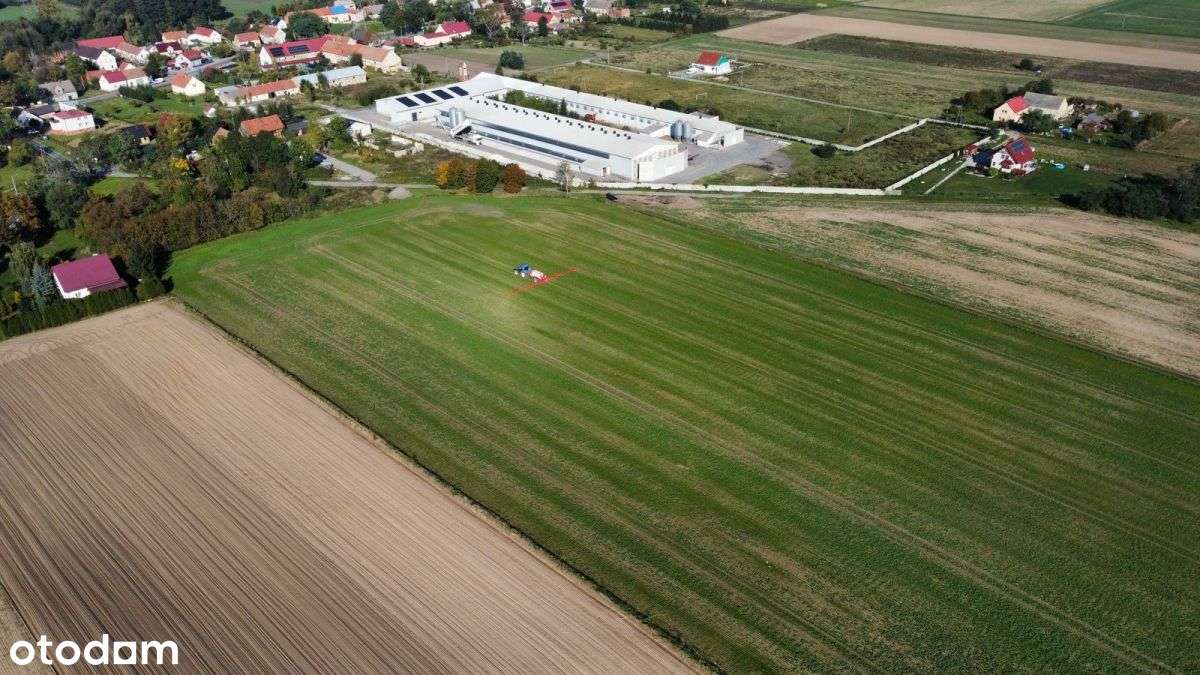 Działka Mn/u ➤ 1,2400ha ➤ Kryniczno - Pełny obrazek: 5/8