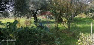 Terreno  para venda - Grande imagem: 5/10