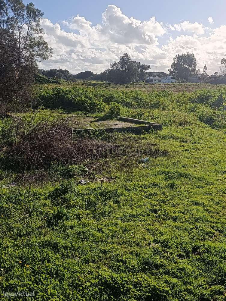 Quinta  Montijo - Jardia p/ Reabilitação c/ 14.000m2  - 3 licenças urb-10