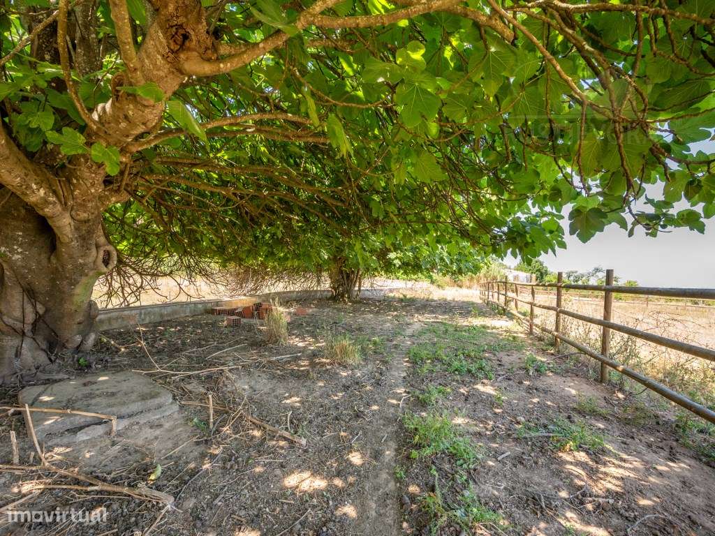Quinta de São Miguel | Um Projeto Único junto ao Castelo de Estremo...-50