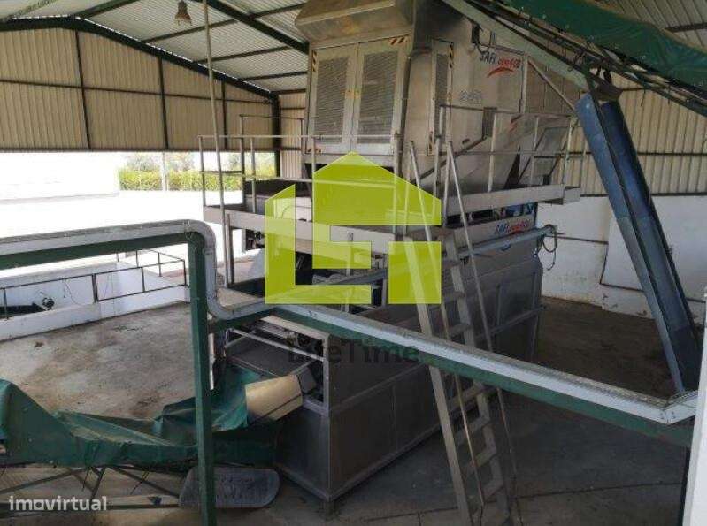 Armazém à venda em Redondo - Grande imagem: 5/42