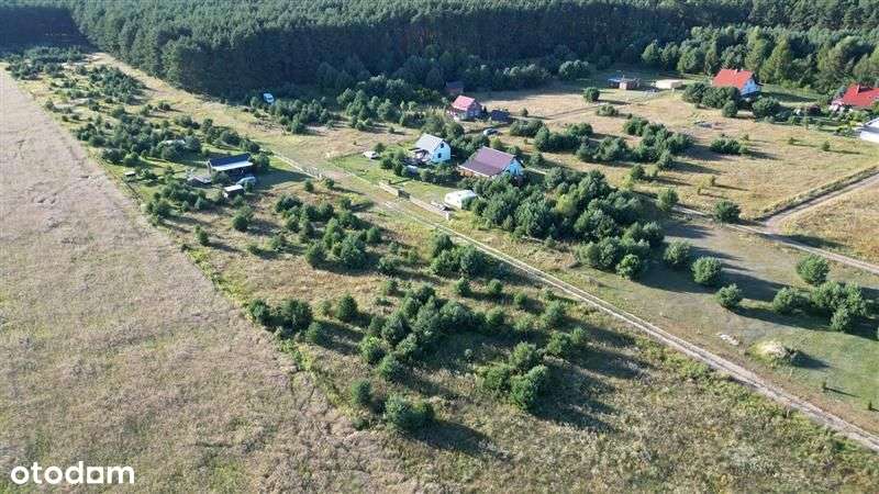 Działki na terenie Puszczy Rzepińskiej - Pełny obrazek: 4/16