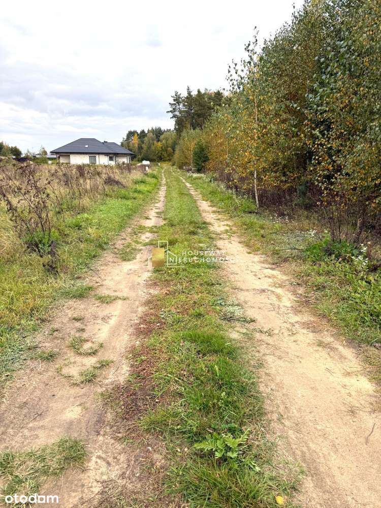 Działki w malowniczym sąsiedztwie lasów - Pełny obrazek: 5/5