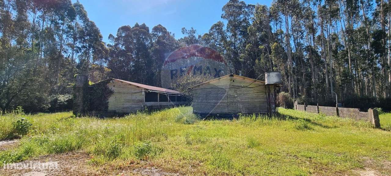 Industrial  para venda - Grande imagem: 5/21