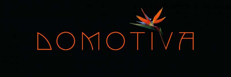 Deweloperzy: Domotiva Aneta Betka - Łódź, łódzkie