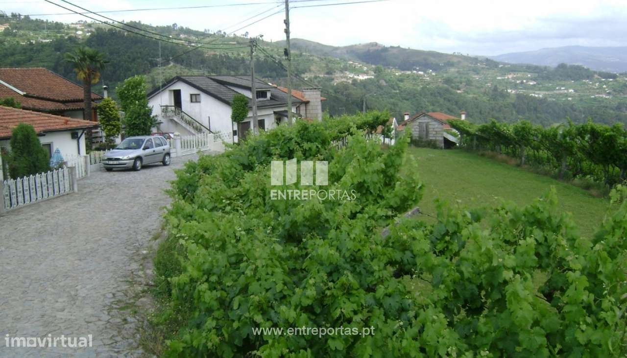Venda Terreno, Paredes de Viadores, Marco de Canaveses - Grande imagem: 2/15
