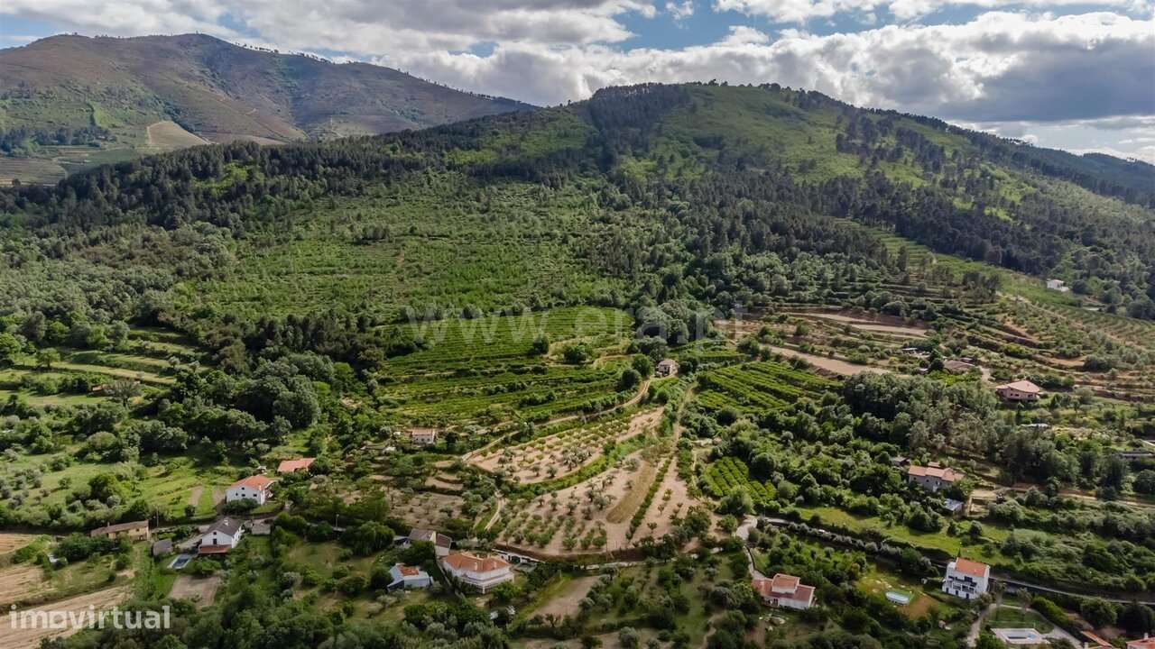 Terreno / Fundão, Fundão-17
