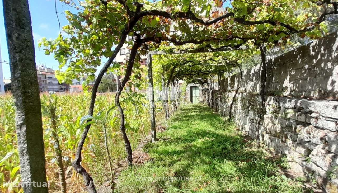 Venda de Terreno com 7140 m², Meadela, Viana do Castelo - Grande imagem: 2/30