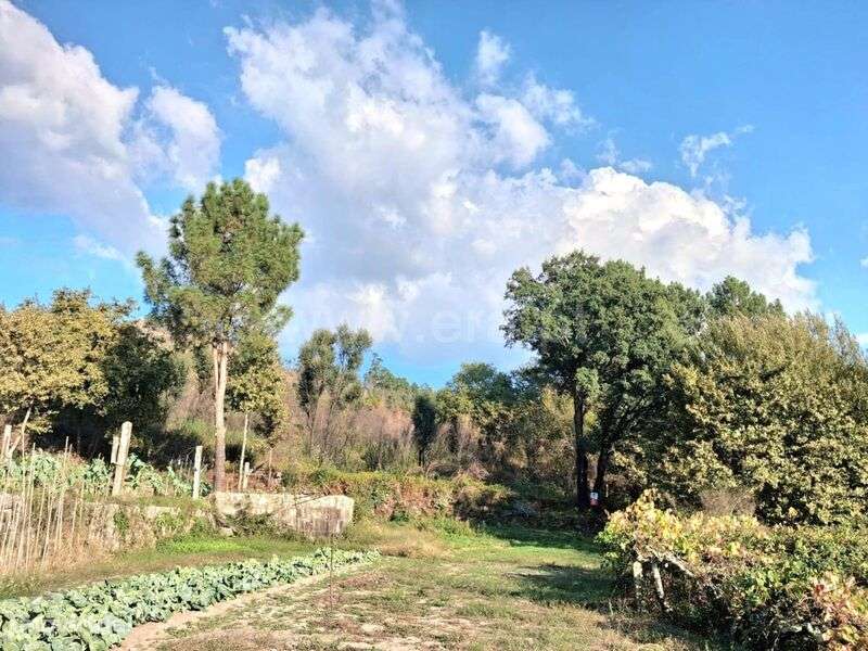 Terreno Rústico / Marco de Canaveses, Vila Boa do Bispo - Grande imagem: 3/4