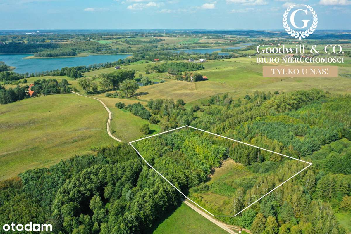 Piękna działka 700m od jeziora! - Pełny obrazek: 1/16