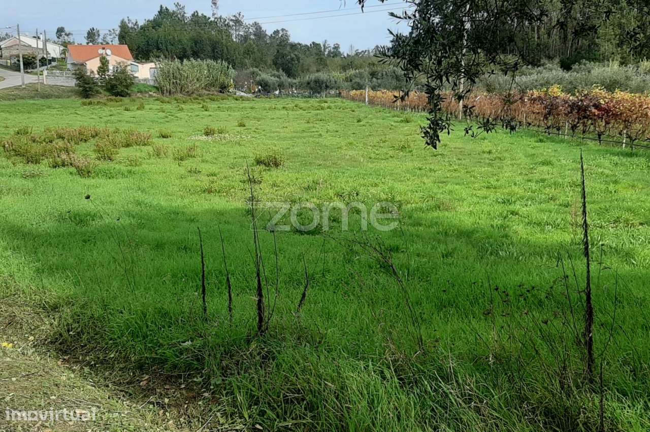 Terreno com comunicação de viabilidade urbanística - Grande imagem: 3/10