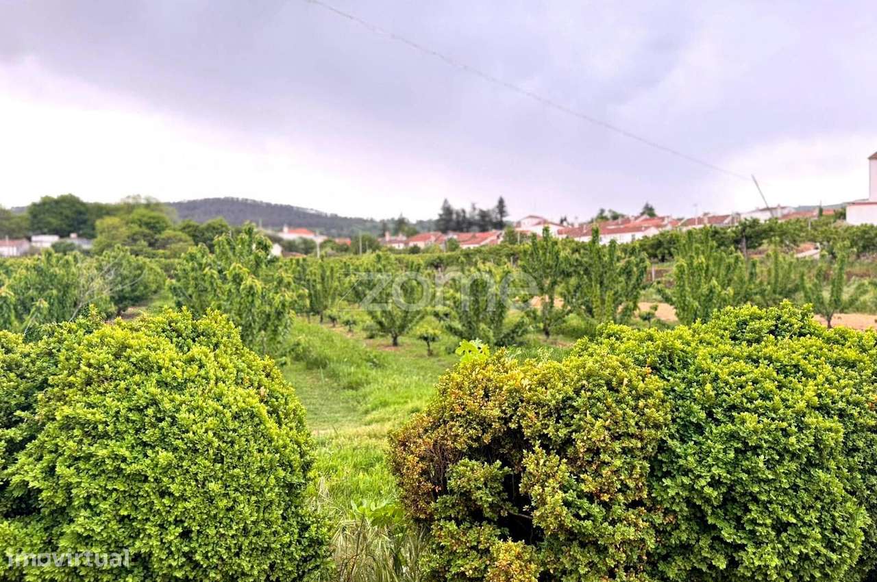 QUINTA no ALCAIDE – FUNDÃO-46