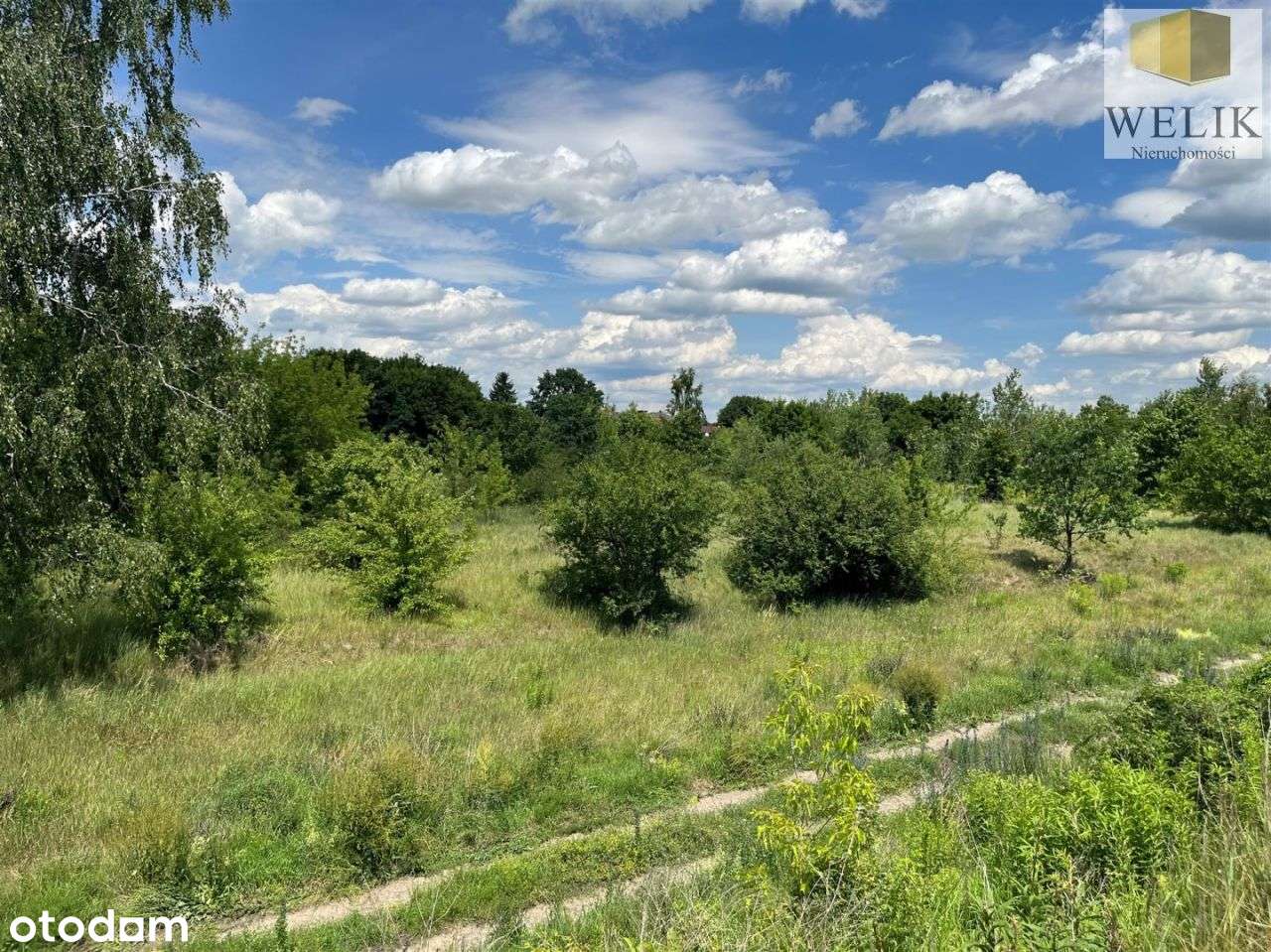 Działka komercyjna - Pełny obrazek: 2/7